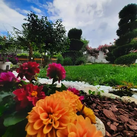 ホテル Albatros 2 Family キテン