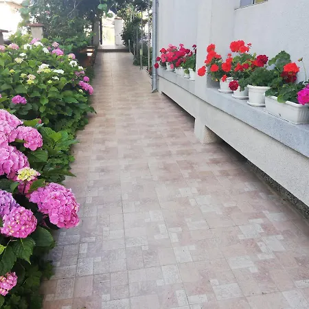 ホテル Albatros 2 Family